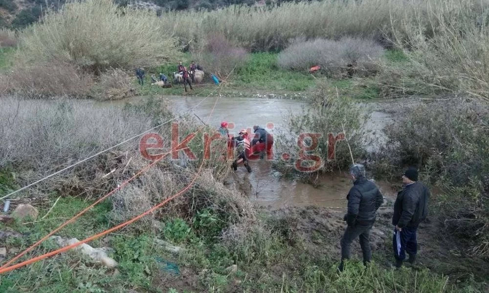 Μεγάλη επιχείρηση της ΕΜΑΚ στην Κρήτη – Διέσωσαν εγκλωβισμένα ζώα από «φουσκωμένο» ποτάμι (βίντεο)